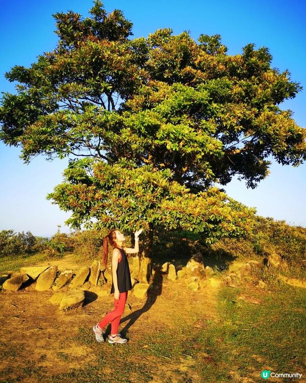 [行山要打卡] 5 - 大金鐘。昂平高原