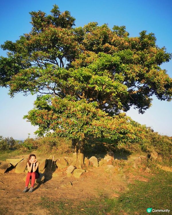 [行山要打卡] 5 - 大金鐘。昂平高原