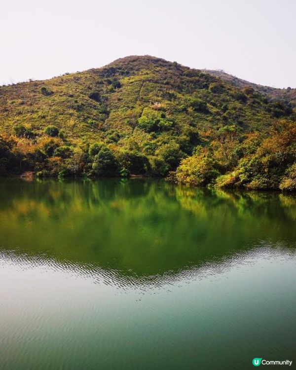 [行山要打卡] 3 - 古洞水塘 - 港版心形湖