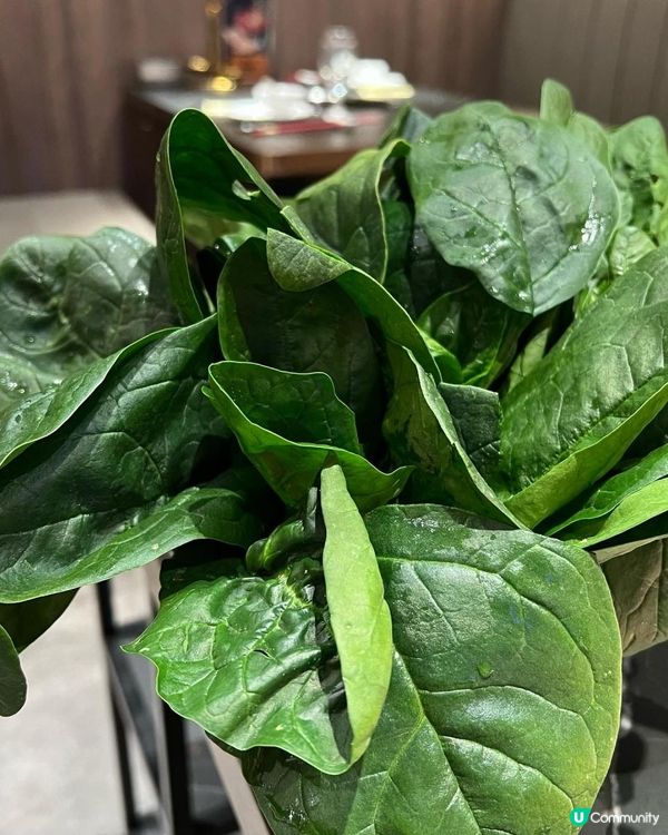 深水埗打邊爐之選🍲