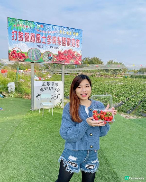 【遊樂】鳳凰農場士多啤梨園