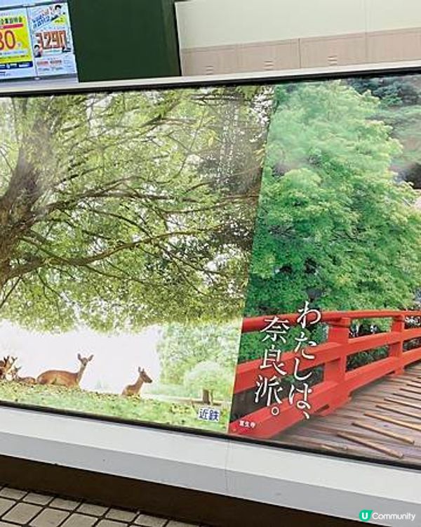 【疫情前旅行日誌】2019-06~DAY3~獨闖奈良探鹿篇~三遊大阪6天の旅