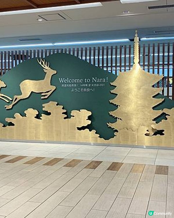 【疫情前旅行日誌】2019-06~DAY3~獨闖奈良探鹿篇~三遊大阪6天の旅