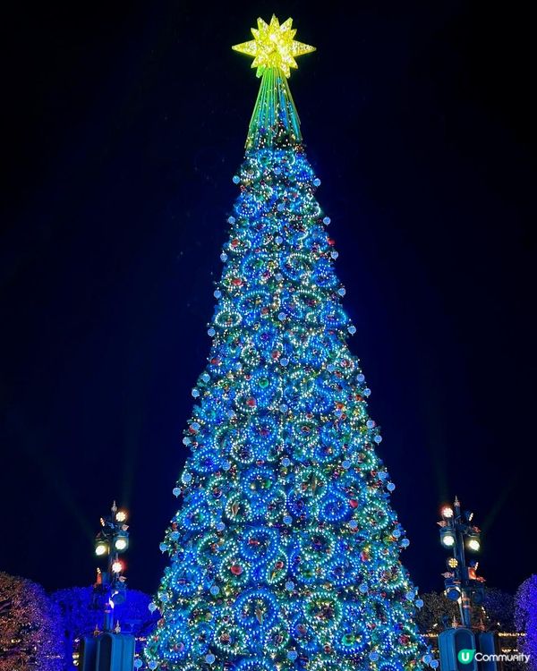 ✨🎆𝐇𝐚𝐩𝐩𝐲 𝐍𝐞𝐰 𝐘𝐞𝐚𝐫🍾️✨