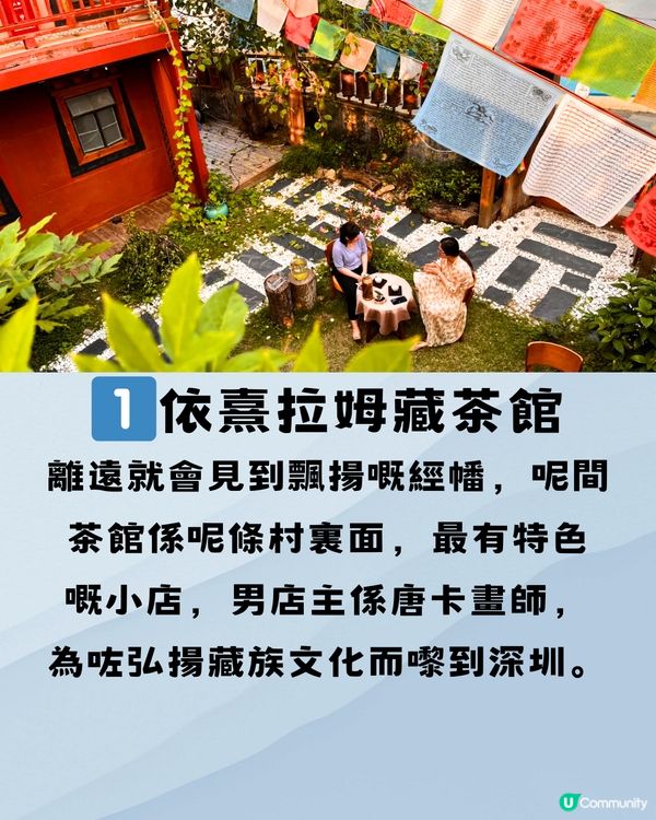 深圳避世一日遊🗺️3大推介‼️誤入小西藏🚗附交通教學