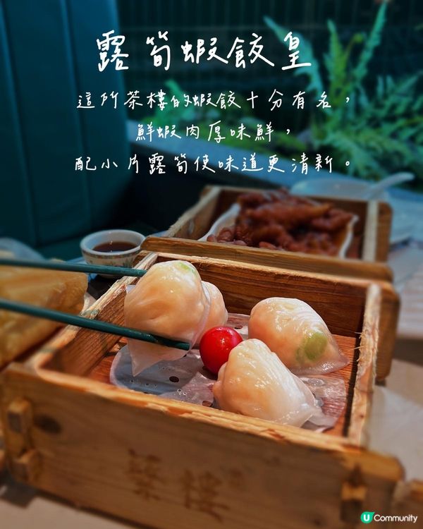 人均80‼️近口岸🚇地鐵站👍🏻大件又抵食的廣式茶樓🫖😋