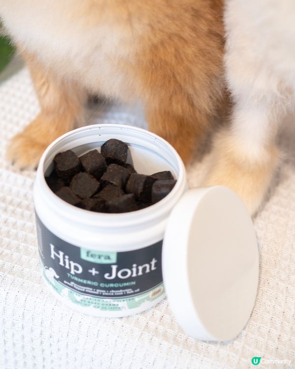 松鼠狗腳仔保養，由細開始！🐶🦴  美國獸醫研發