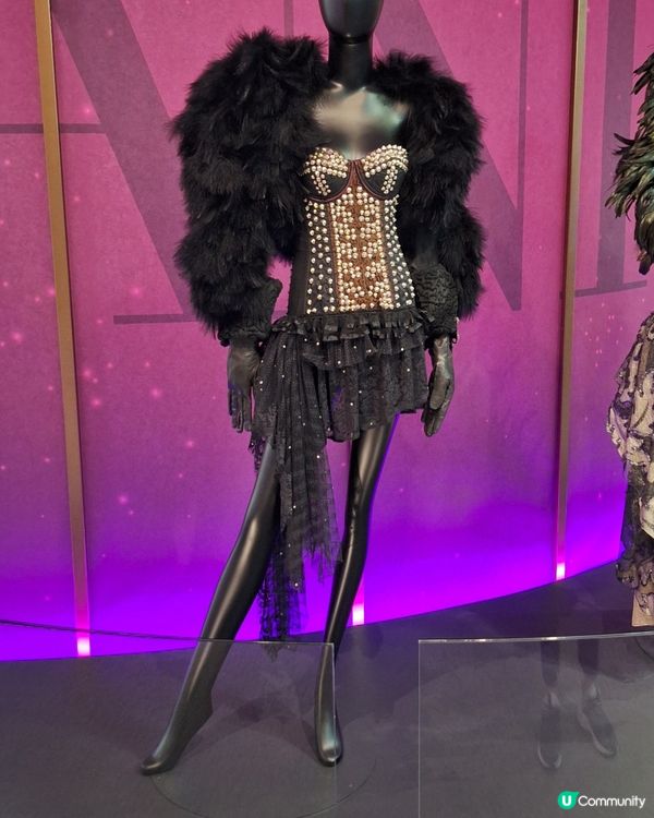 絕代芳華，梅艷芳