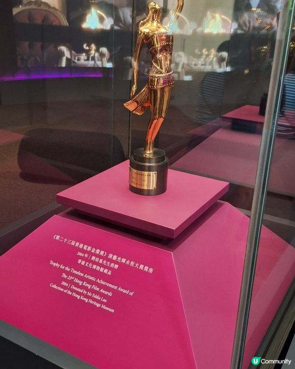 絕代芳華，梅艷芳