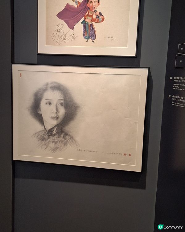 絕代芳華，梅艷芳