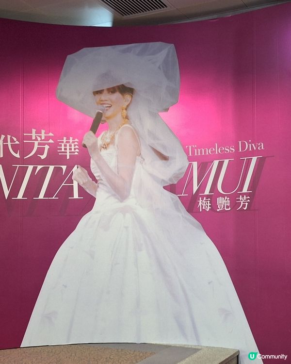 絕代芳華，梅艷芳