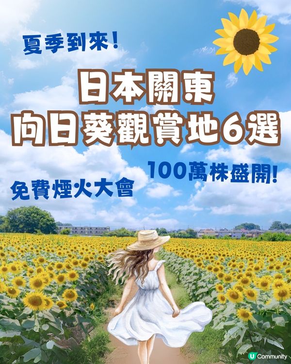 日本關東向日葵觀賞地推介🌻100萬棵盛放😍仲有免費花火大會🎆