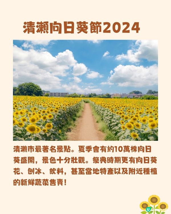 日本關東向日葵觀賞地推介🌻100萬棵盛放😍仲有免費花火大會🎆