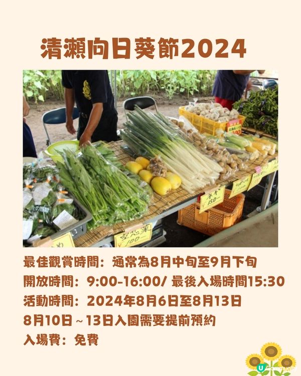 日本關東向日葵觀賞地推介🌻100萬棵盛放😍仲有免費花火大會🎆