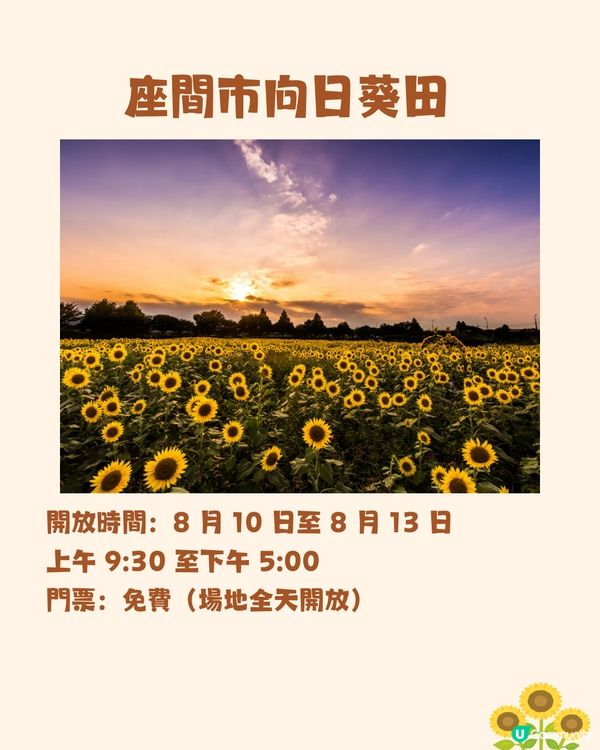 日本關東向日葵觀賞地推介🌻100萬棵盛放😍仲有免費花火大會🎆