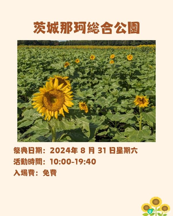 日本關東向日葵觀賞地推介🌻100萬棵盛放😍仲有免費花火大會🎆