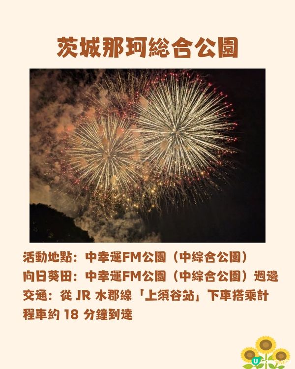 日本關東向日葵觀賞地推介🌻100萬棵盛放😍仲有免費花火大會🎆