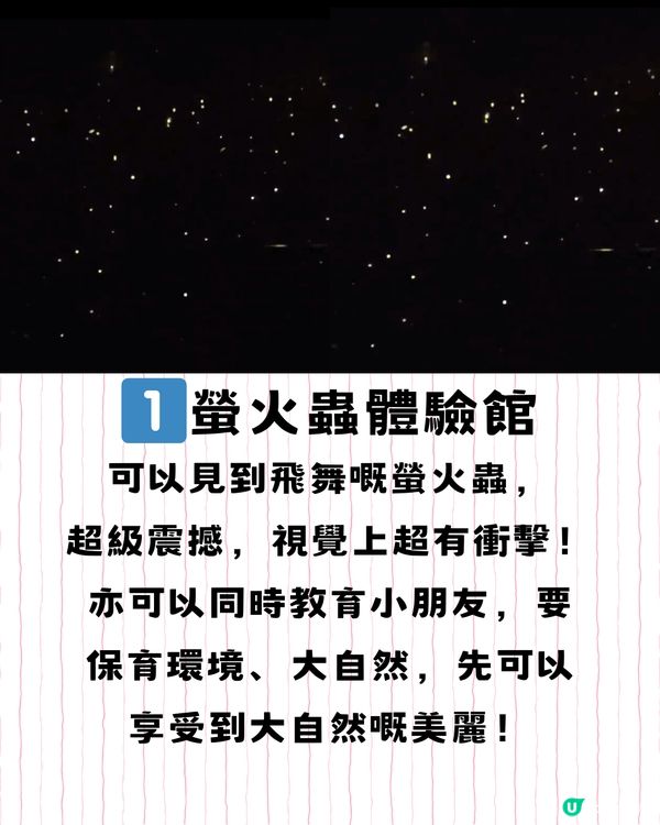 深圳特別體驗館🏛️直擊視覺/痛覺/心靈🚗附交通教學