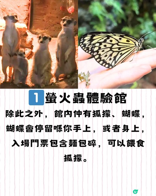 深圳特別體驗館🏛️直擊視覺/痛覺/心靈🚗附交通教學