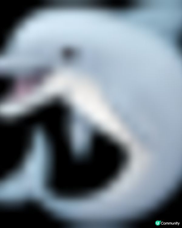 福岡之旅 - MARINE WORLD 海洋世界 海之中道水族館