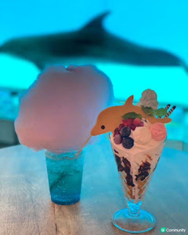 福岡之旅 - MARINE WORLD 海洋世界 海之中道水族館