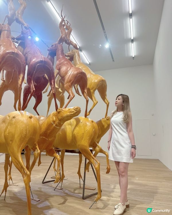 必睇💥 布魯斯．瑙曼珍藏展覽