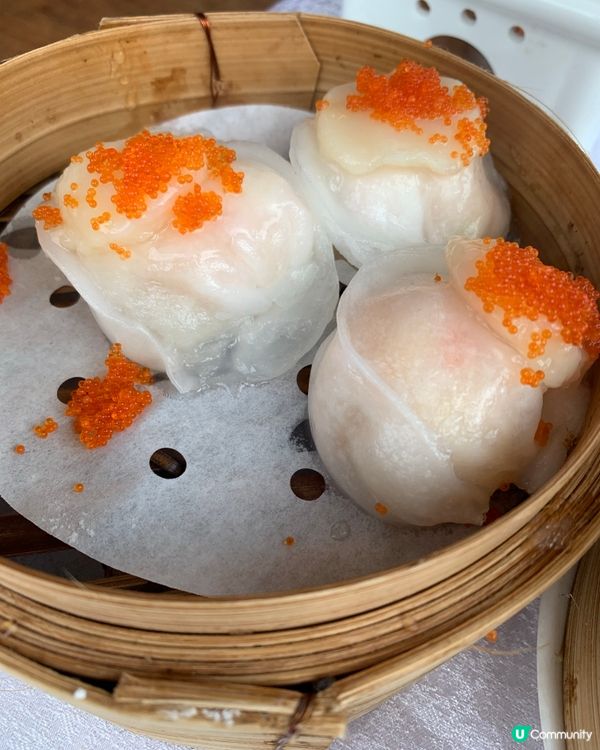 銅鑼灣高質飲菜地方🍵🫖