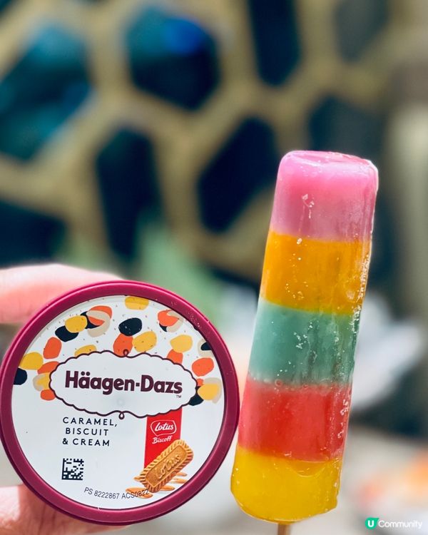 Cp值超高‼️超輕鬆就可以回本有突既日式放題‼️