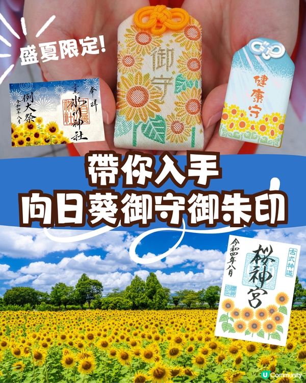 盛夏來到☀️日本向日葵御守御朱印🌻⛩️秋葉原附近/附詳細地址