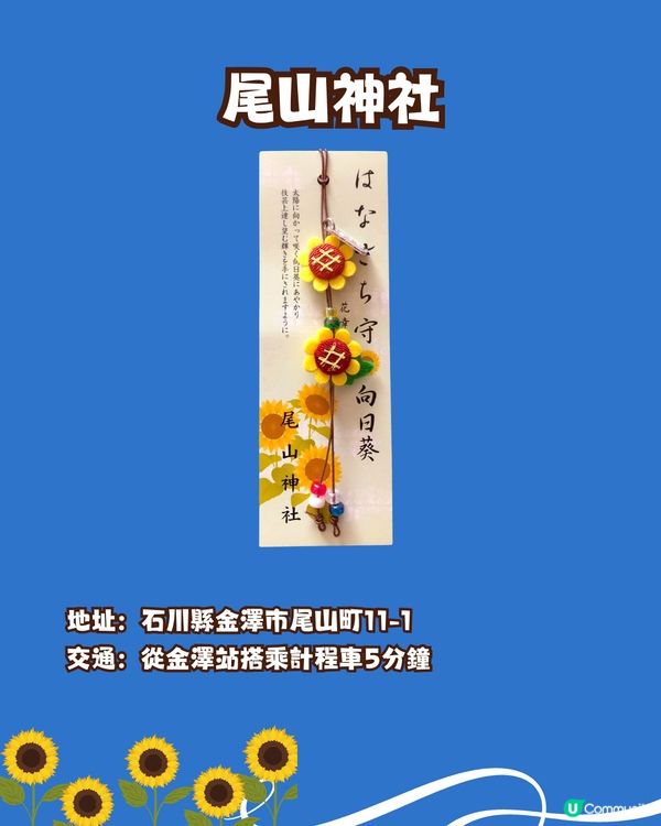 盛夏來到☀️日本向日葵御守御朱印🌻⛩️秋葉原附近/附詳細地址