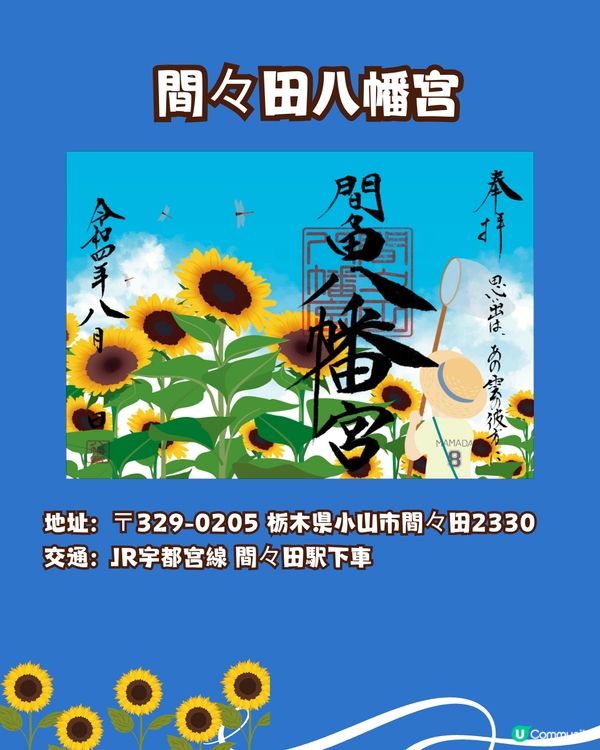 盛夏來到☀️日本向日葵御守御朱印🌻⛩️秋葉原附近/附詳細地址