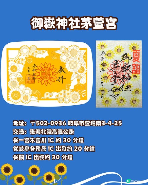 盛夏來到☀️日本向日葵御守御朱印🌻⛩️秋葉原附近/附詳細地址