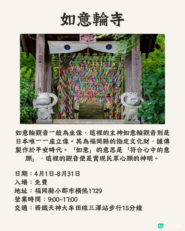 福岡七月祭典活動🤩夏日祭/煙火大會🎆向日葵祭🌻附詳細時間地址‼️