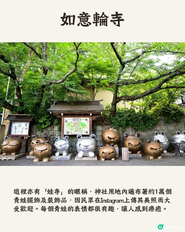 福岡七月祭典活動🤩夏日祭/煙火大會🎆向日葵祭🌻附詳細時間地址‼️