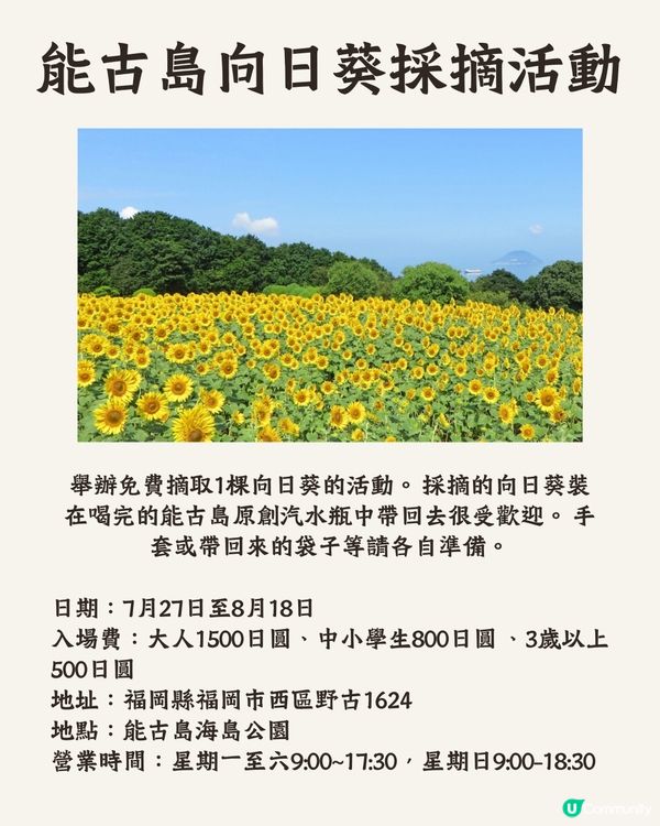 福岡七月祭典活動🤩夏日祭/煙火大會🎆向日葵祭🌻附詳細時間地址‼️