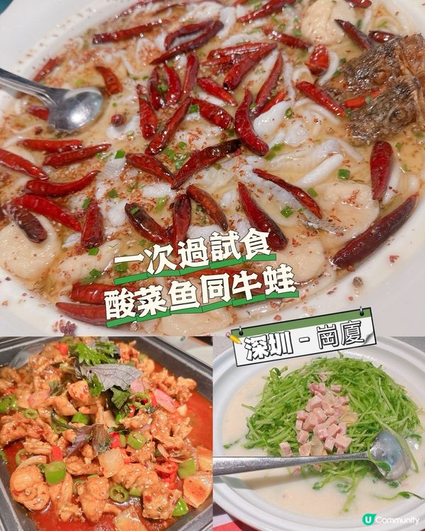 一次過試食酸菜鱼同牛蛙