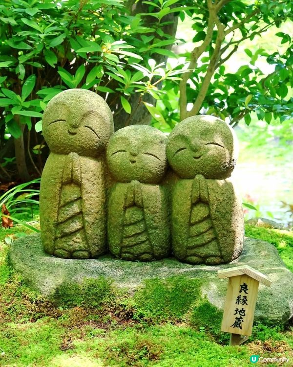 鎌倉🎋長谷寺🎋