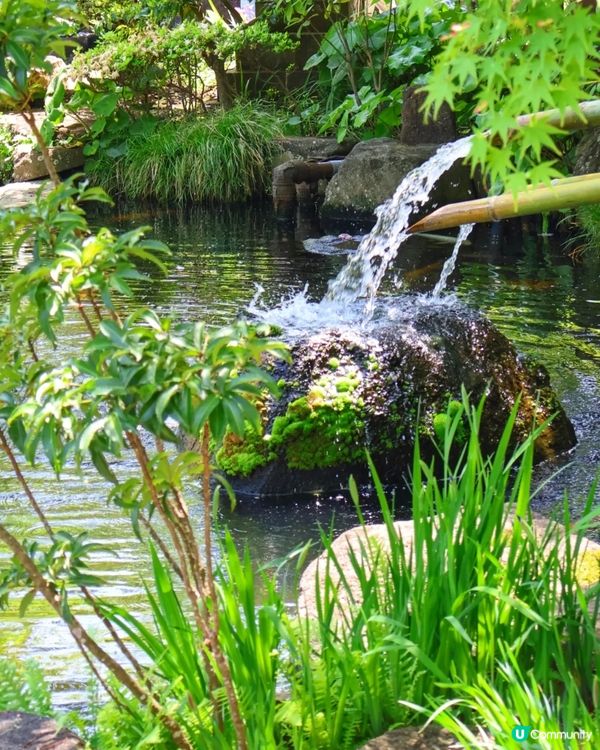 鎌倉🎋長谷寺🎋