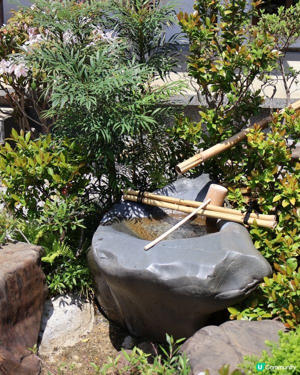 鎌倉🎋長谷寺🎋