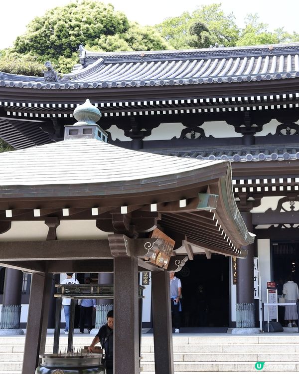 鎌倉🎋長谷寺🎋