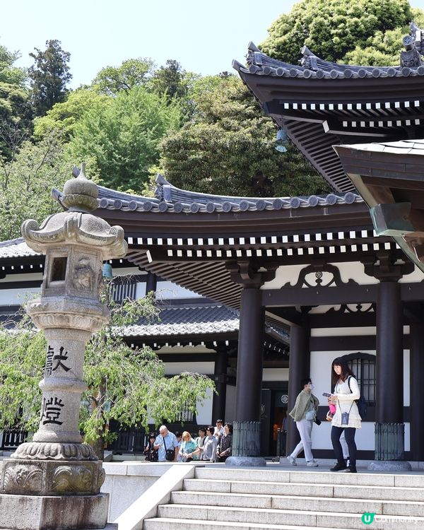 鎌倉🎋長谷寺🎋