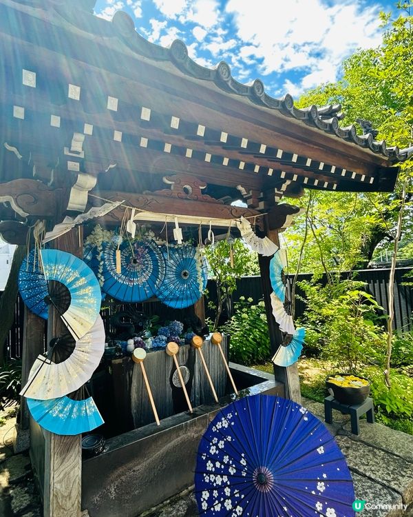 夏日夢幻神社—法輪寺