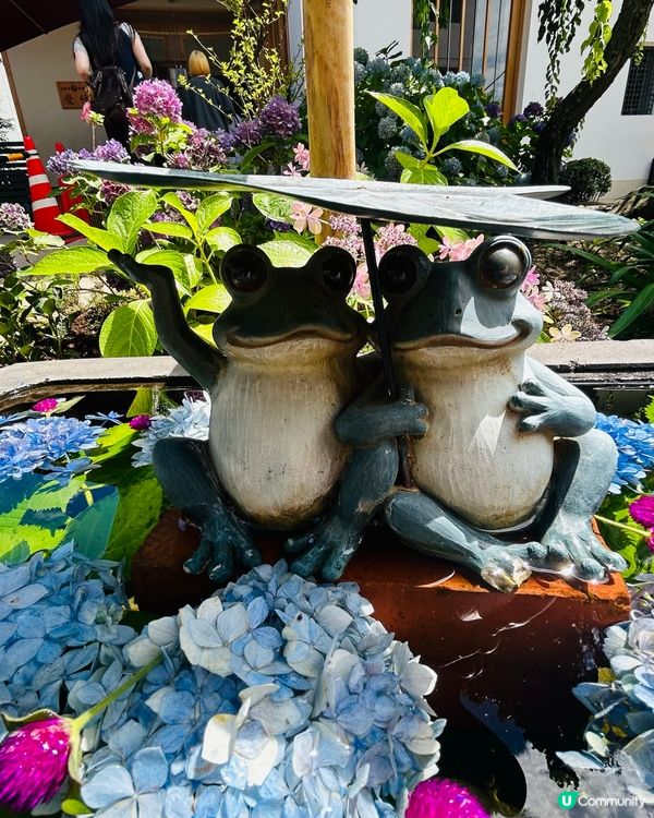 夏日夢幻神社—法輪寺