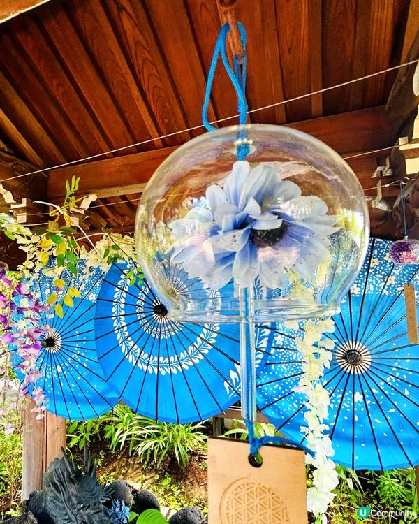 夏日夢幻神社—法輪寺