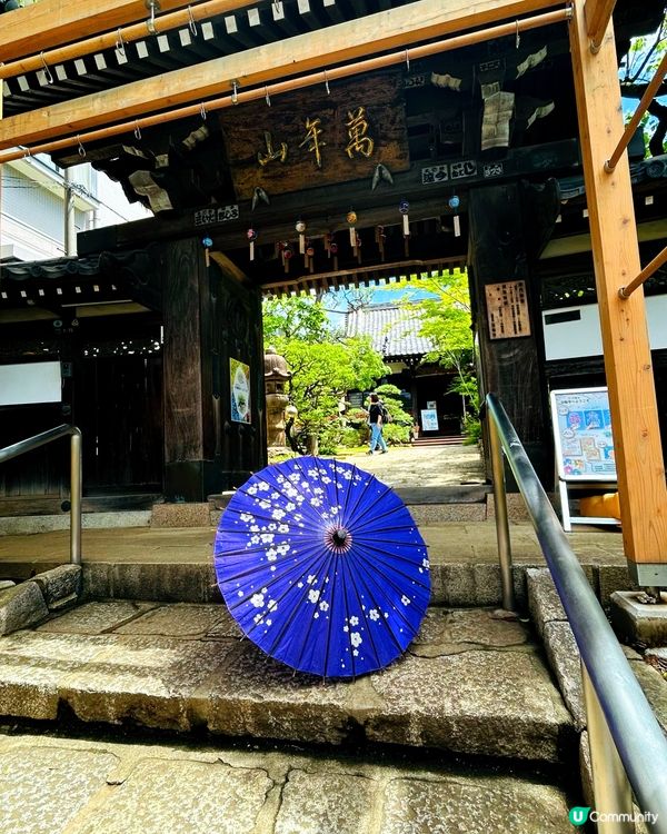 夏日夢幻神社—法輪寺