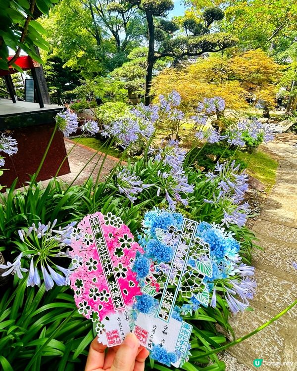 夏日夢幻神社—法輪寺