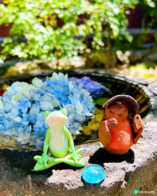 夏日夢幻神社—法輪寺