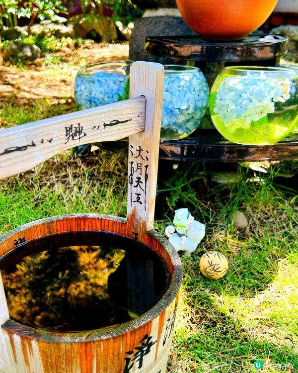 夏日夢幻神社—法輪寺