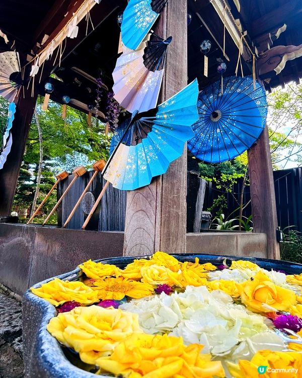 夏日夢幻神社—法輪寺