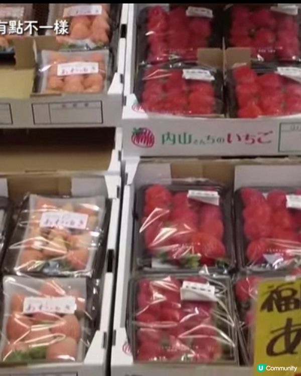 中州川端遠景酒店